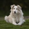 Luna 50 cm ca 9 -10 Jahre