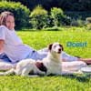 Donut neugieriger Junghund 12/24 in DE