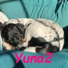 Yuna2 verschmust und gesellig 05/24 DE