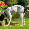 Yuna2 verschmust und gesellig 05/24 DE