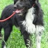 COOPER wartet schon lange