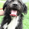 COOPER wartet schon lange