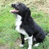 COOPER wartet schon lange