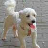 Kleine Kerlchen MARVIN