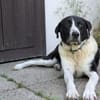 Bezaubernde Grace sucht Körbchen