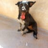 DULCE