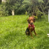 Majlo sucht sportlich-aktive Menschen