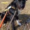 DOLLY -Sucht Begleitung an ihrer Seite-