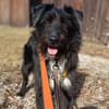 DOLLY -Sucht Begleitung an ihrer Seite-