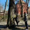 Dante sucht Hundeversteher