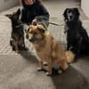 Junge Betty auf PS in Oberbayern