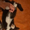 Benny