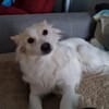 Bonnie möchte Einzelprinzessin sein