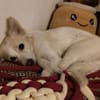 Bonnie möchte Einzelprinzessin sein