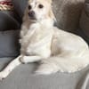 Bonnie möchte Einzelprinzessin sein