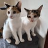Heidi & Juliette