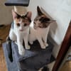 Heidi & Juliette