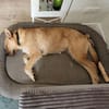 Hermine ist etwas Besonderes
