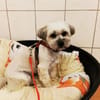 Rocksy su. erfahrene Besitzer