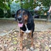 Elegante und ruhige Grace