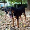 Elegante und ruhige Grace