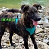 Romeo