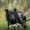 Hope - der Name ist Programm