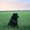 Hope - der Name ist Programm
