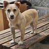 Kleine Liebe Tissa sucht ihre Familie