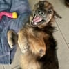 Bobby, la joie et la délicatesse