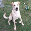 BUDY, le magnifique !