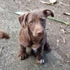 EKKO