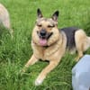 Lena sucht ihre Familie