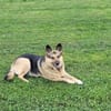 Lena sucht ihre Familie