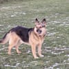 Lena sucht ihre Familie