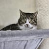 KIWI - geb. ca. 05/2021