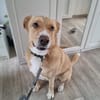 Diego aus 45659 Recklinghausen