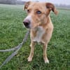 Diego aus 45659 Recklinghausen