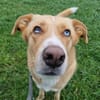 Diego aus 45659 Recklinghausen