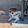 Oskar 💙 sucht seine Familie