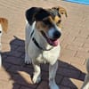 Oskar 💙 sucht seine Familie
