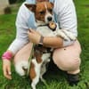 Hurin - Traumhund sucht Traumzuhause
