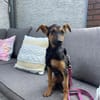 Katie ist in Deutschland