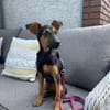 Katie ist in Deutschland