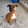 BUBA (Martina)