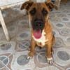 BUBA (Martina)