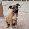 BUBA (Martina)