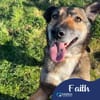 Faith