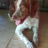 Leopoldo