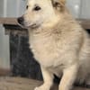 Filu, der kleine Eisbär 🐾
